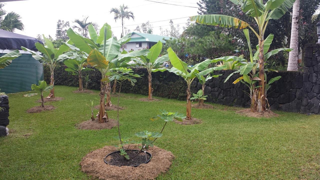 Robbrecht Troost Pottery Villa Pahoa Exterior foto